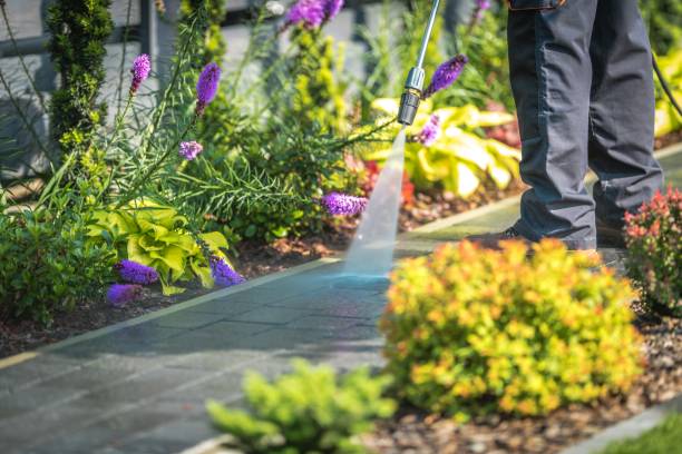Best Pool Deck Cleaning  in Roosevelt Park, MI